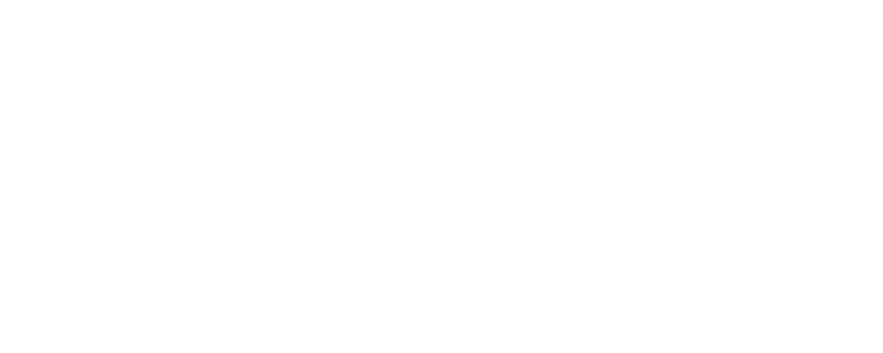 Logo Flash Delivery